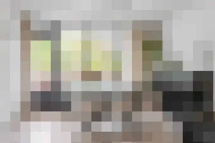 Dunantstraat 1223 Zoetermeer thumbnail 7