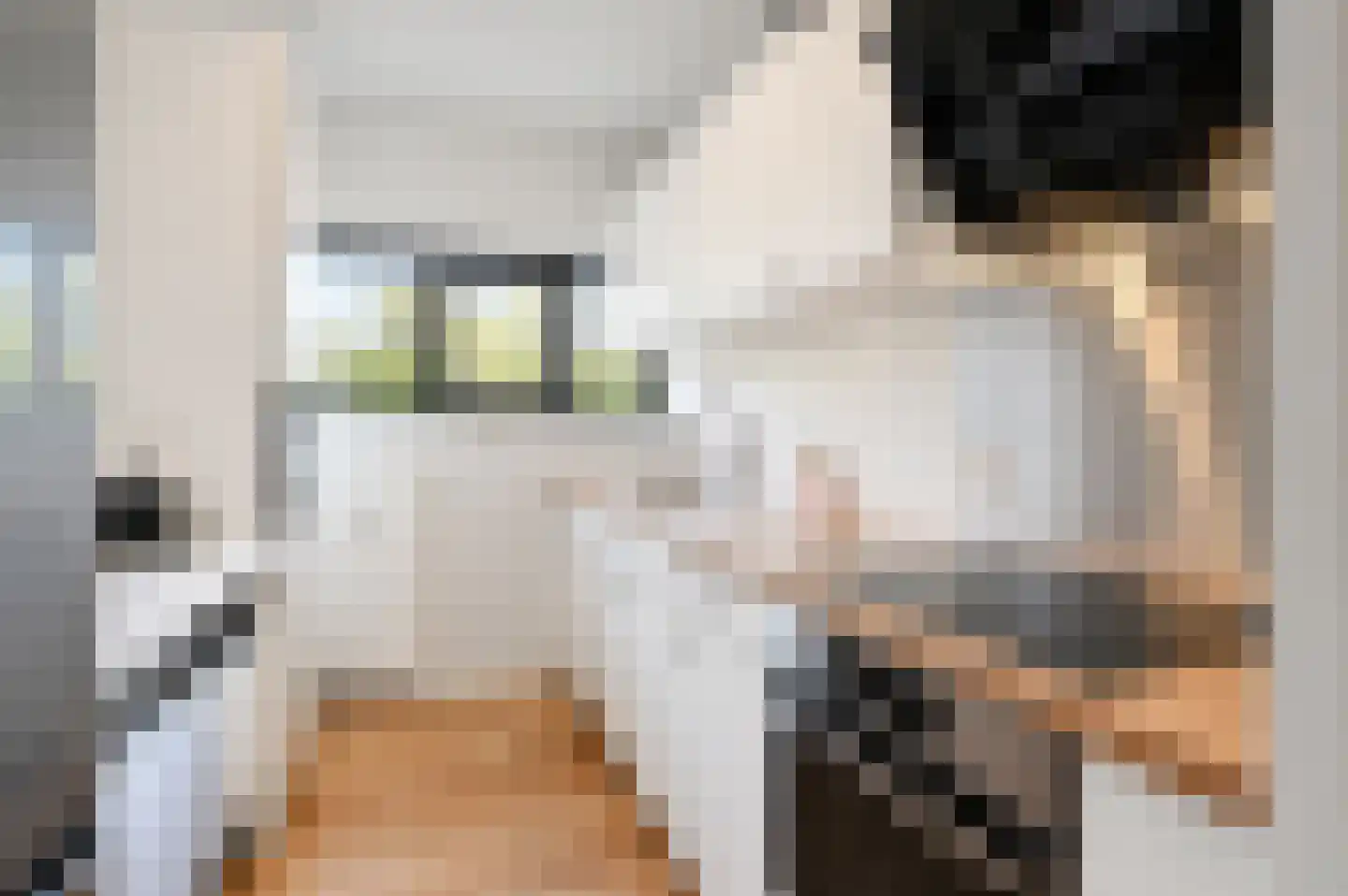 Dunantstraat 1235 Zoetermeer thumbnail 18