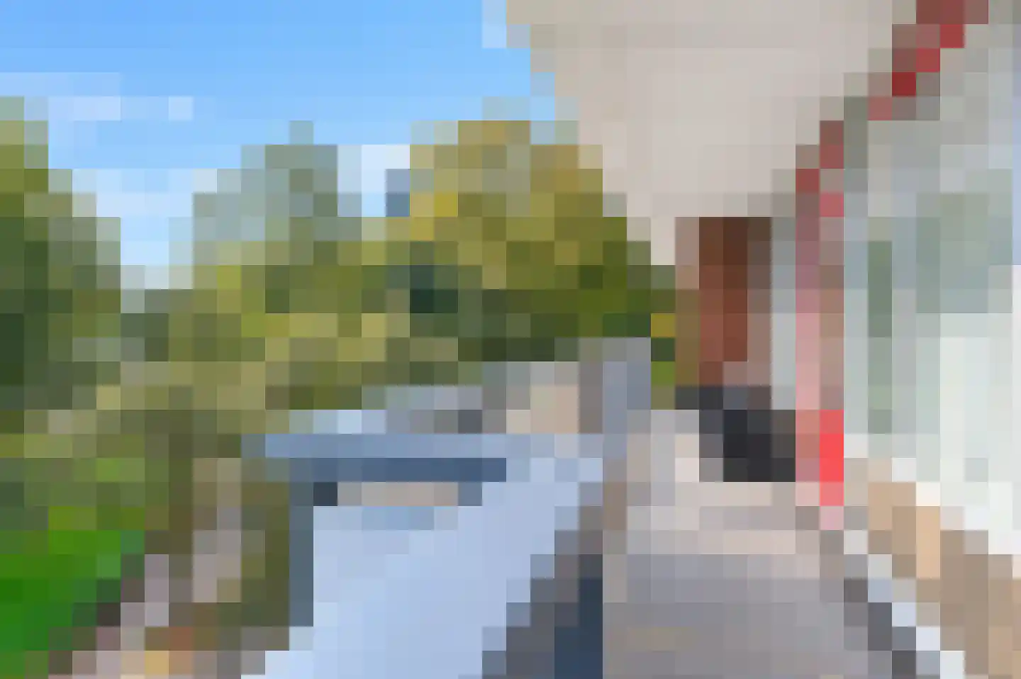 Dunantstraat 1235 Zoetermeer thumbnail 21