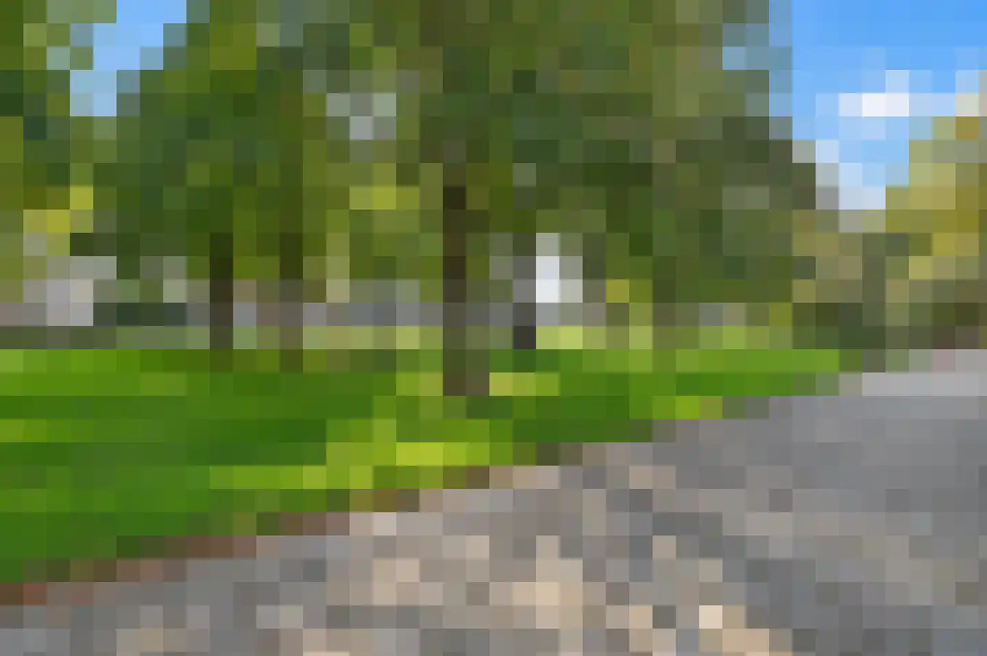 Dunantstraat 1235 Zoetermeer thumbnail 30