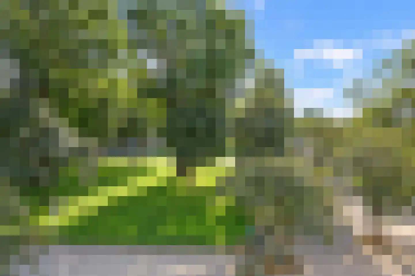 Dunantstraat 1235 Zoetermeer thumbnail 31