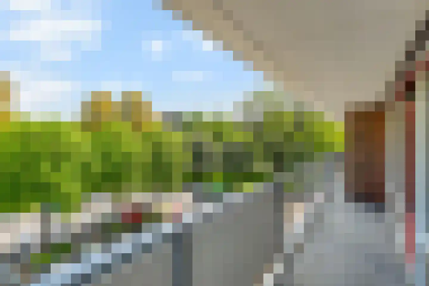 Dunantstraat 1247 Zoetermeer thumbnail 15