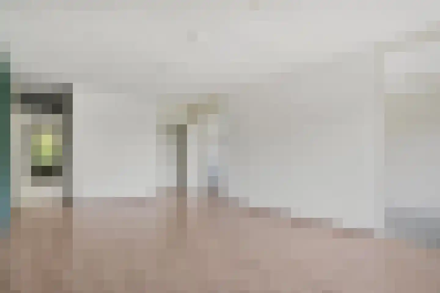Dunantstraat 1247 Zoetermeer thumbnail 18