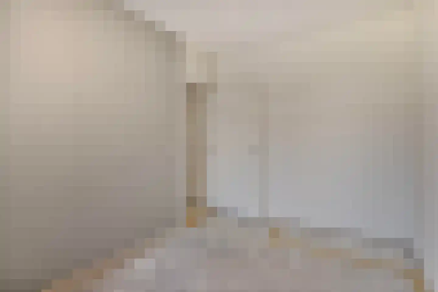 Dunantstraat 1247 Zoetermeer thumbnail 27