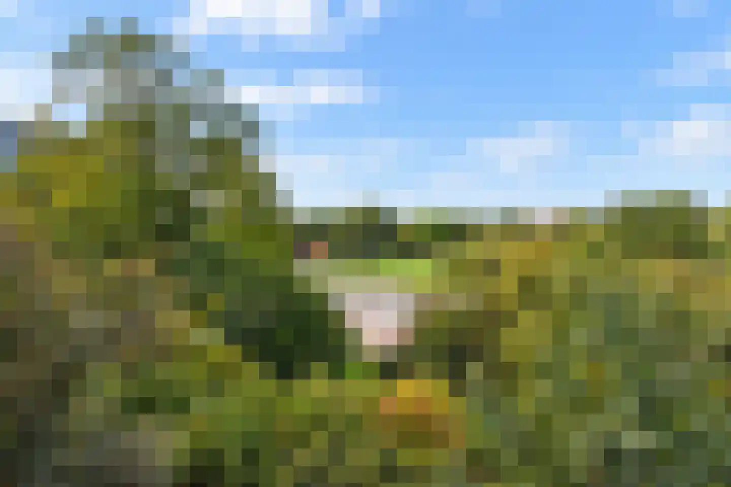 Dunantstraat 1257 Zoetermeer thumbnail 24