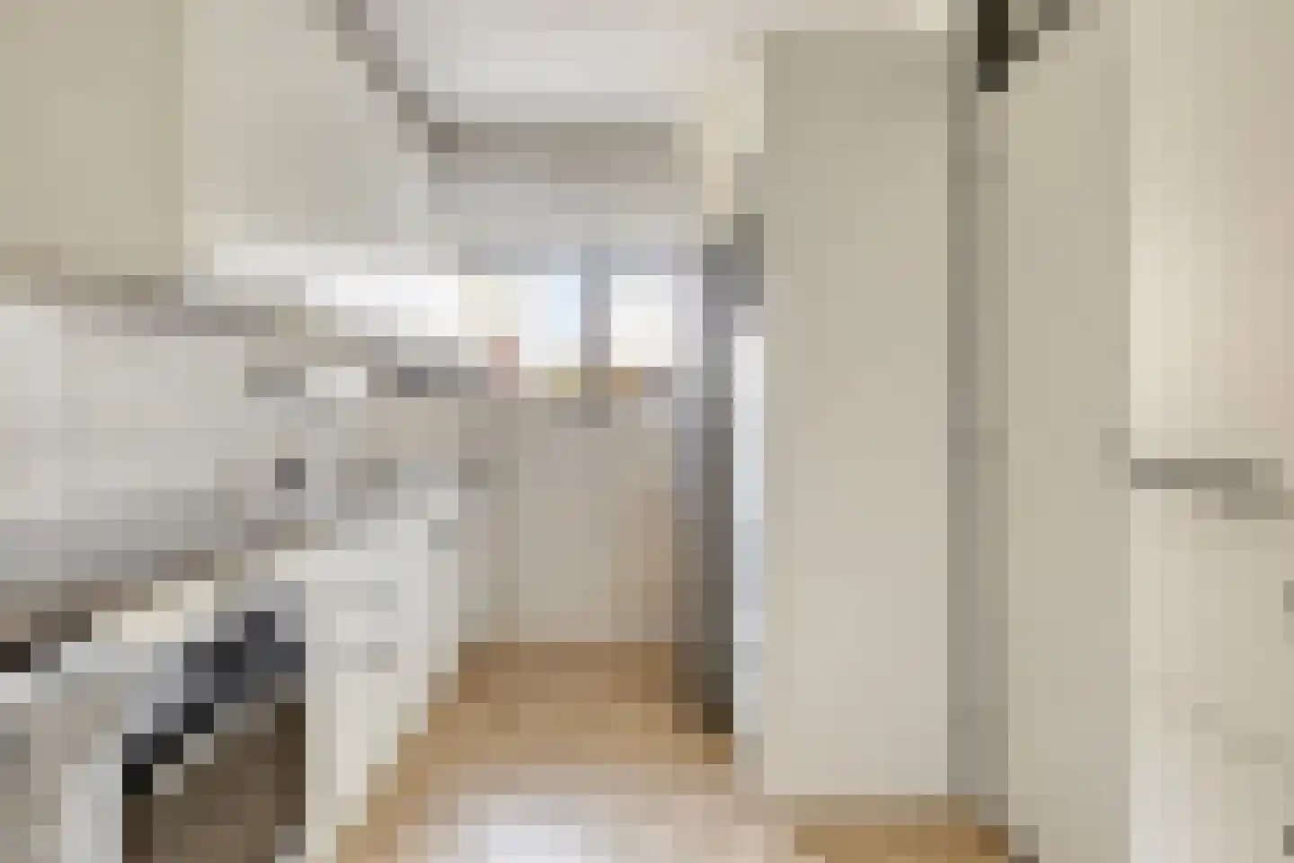 Dunantstraat 1293 Zoetermeer thumbnail 19