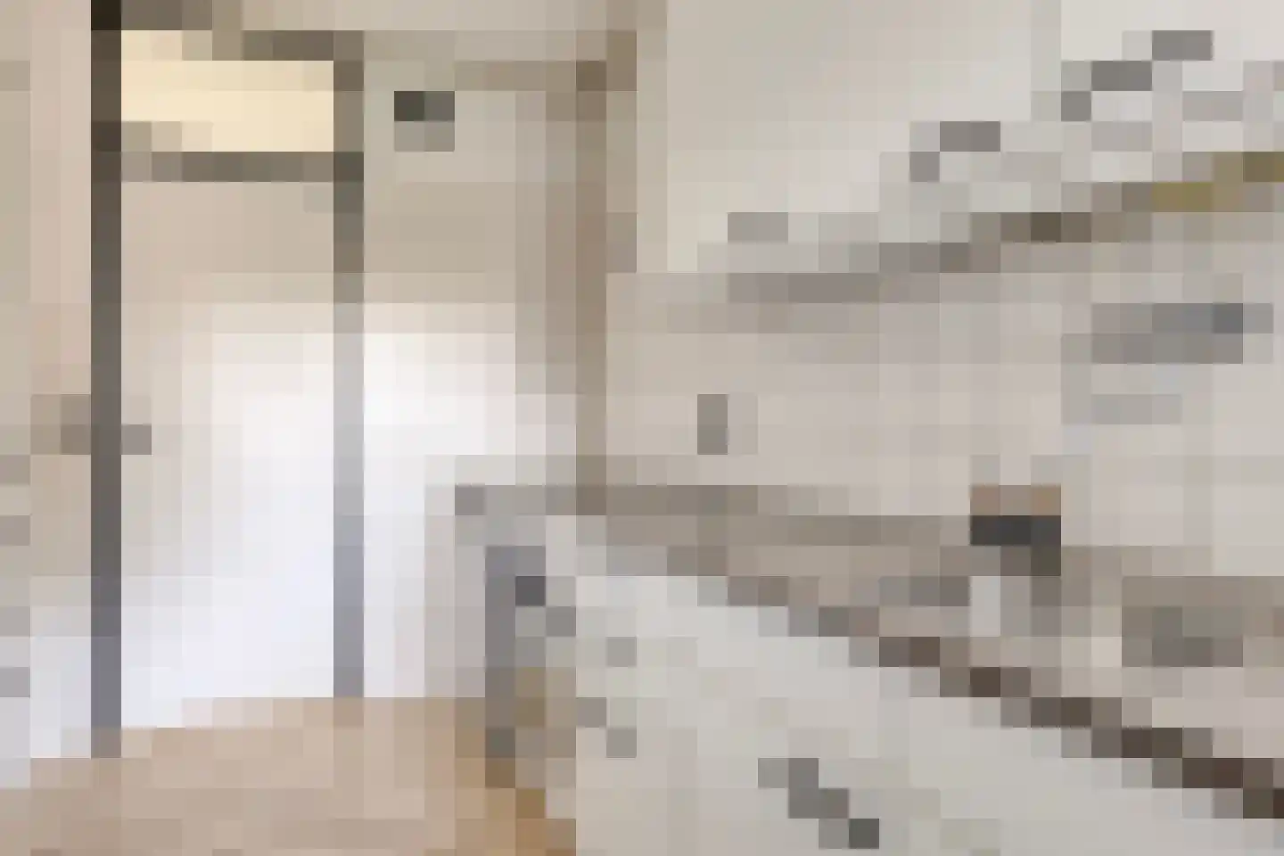 Dunantstraat 1293 Zoetermeer thumbnail 21