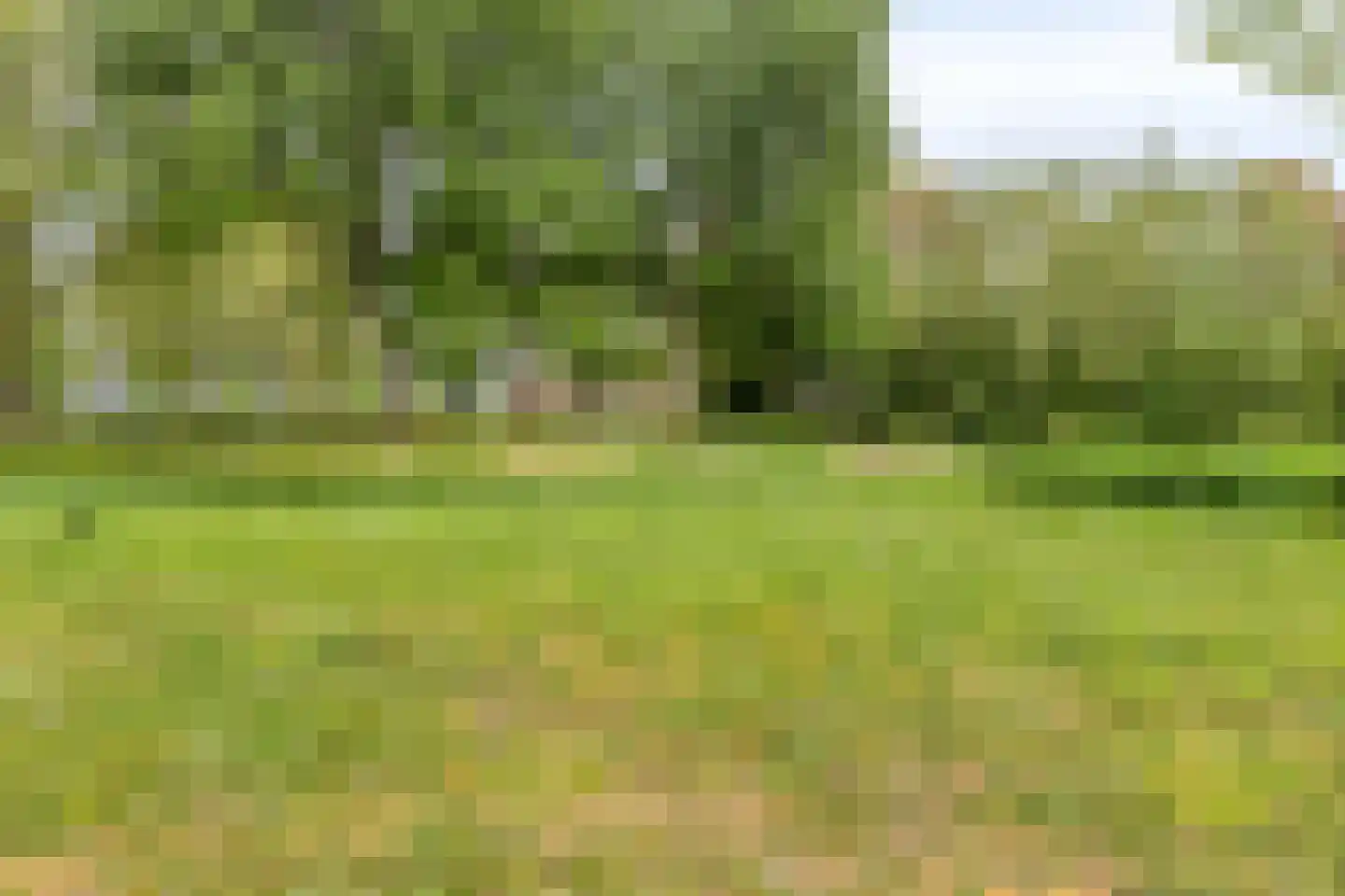 Dunantstraat 1293 Zoetermeer thumbnail 38
