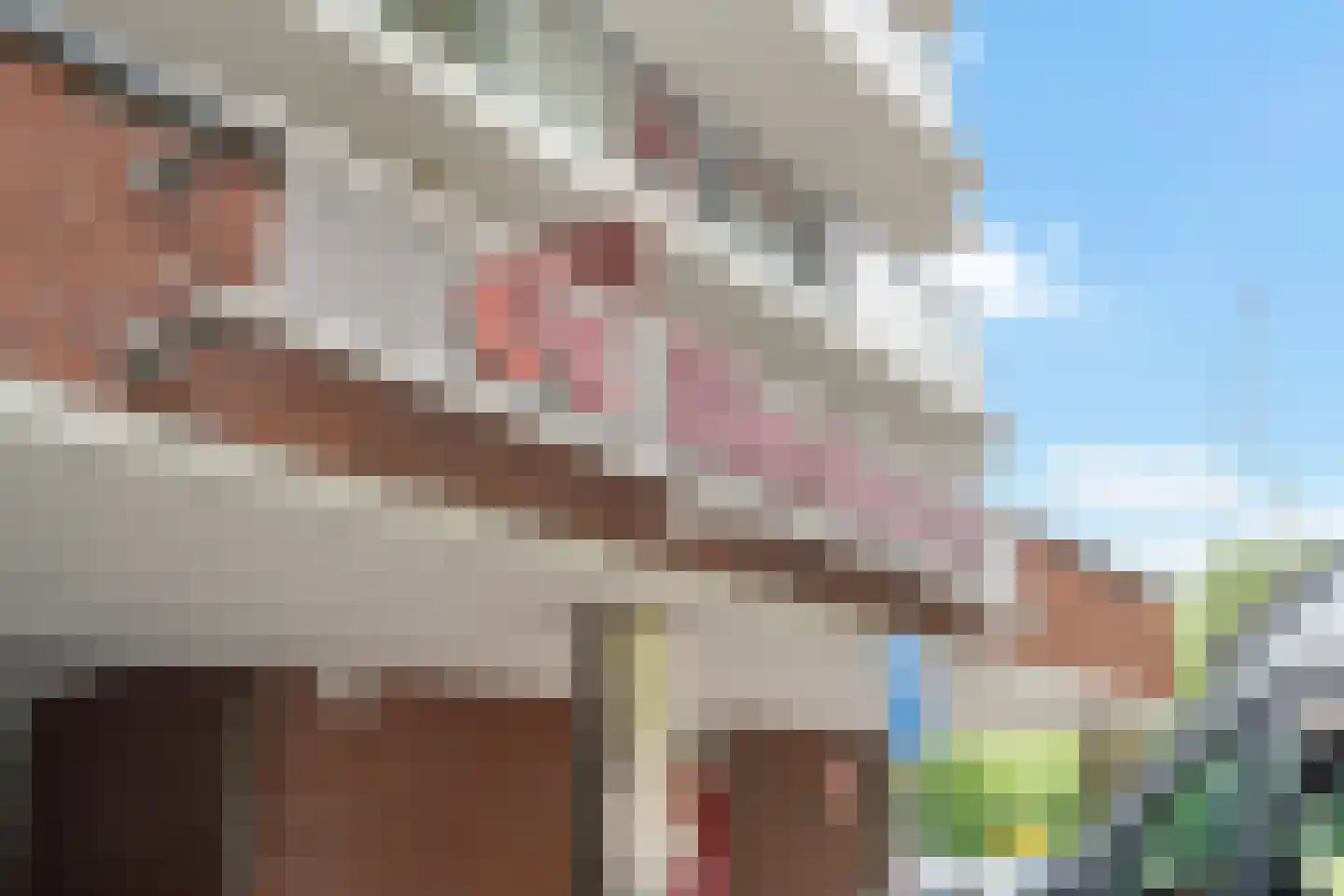Dunantstraat 1319 Zoetermeer thumbnail 12