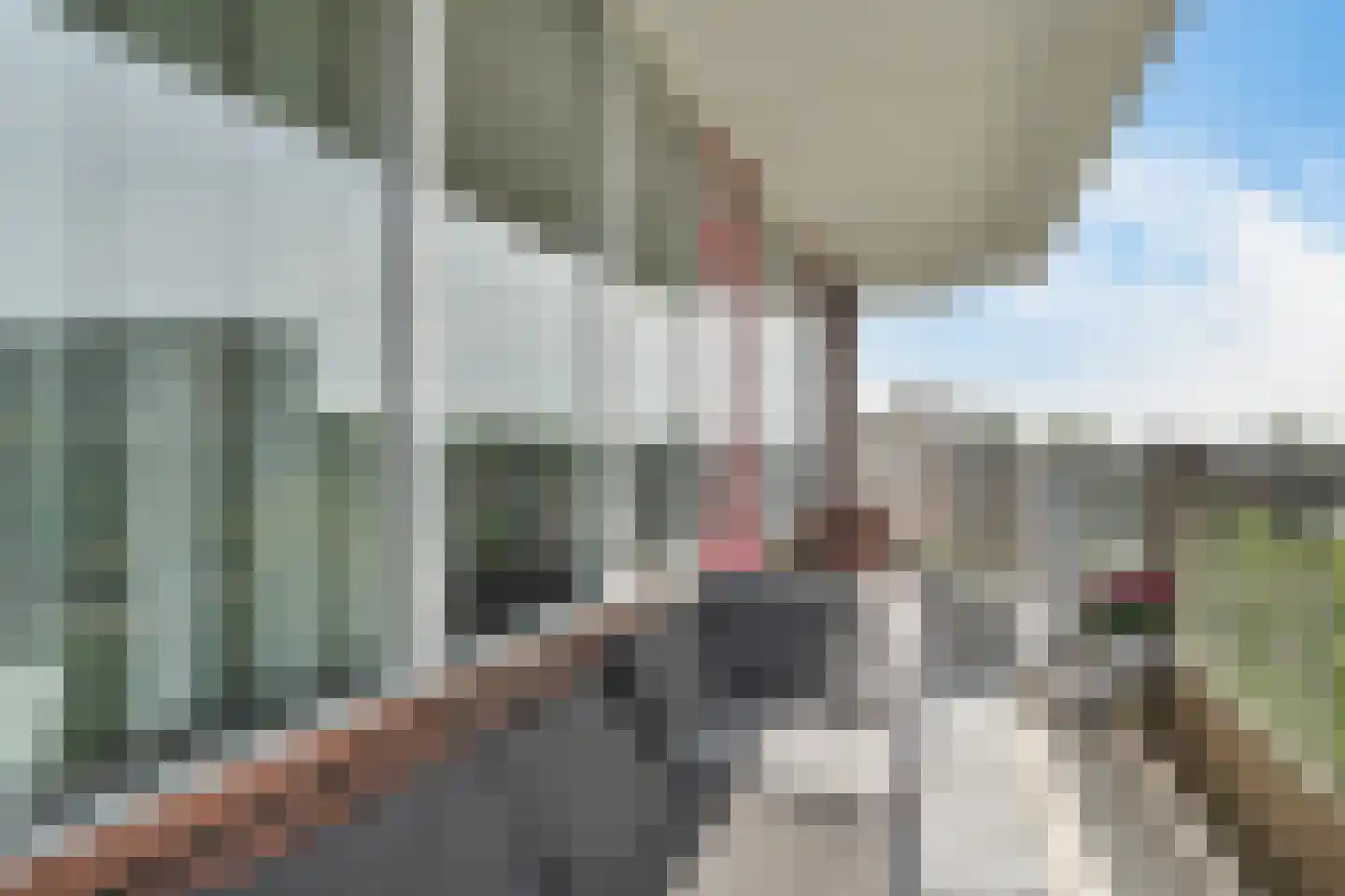 Dunantstraat 1319 Zoetermeer thumbnail 36