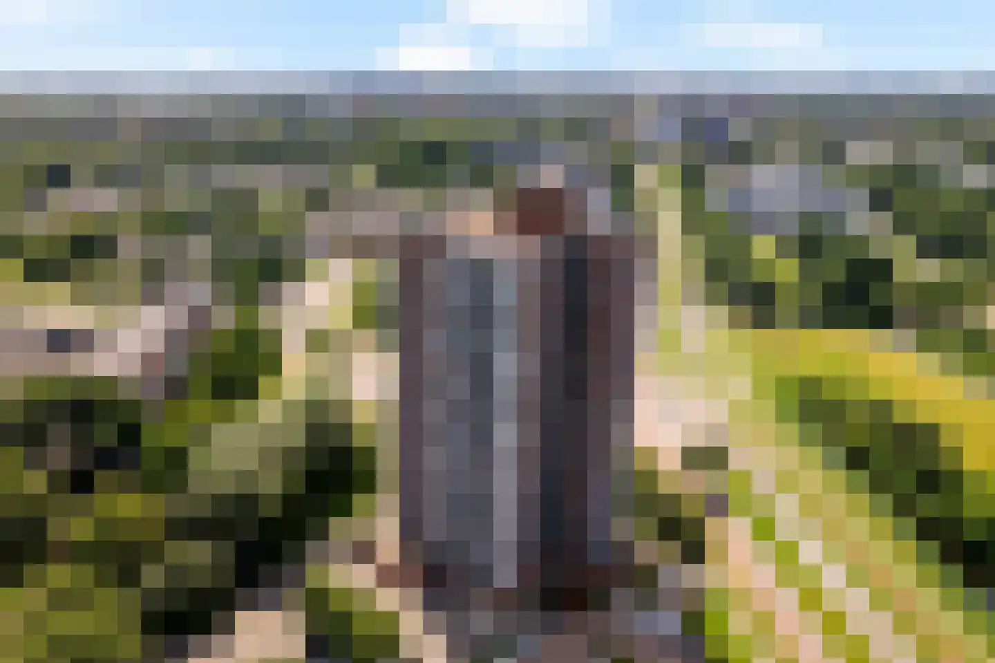 Dunantstraat 1319 Zoetermeer thumbnail 5