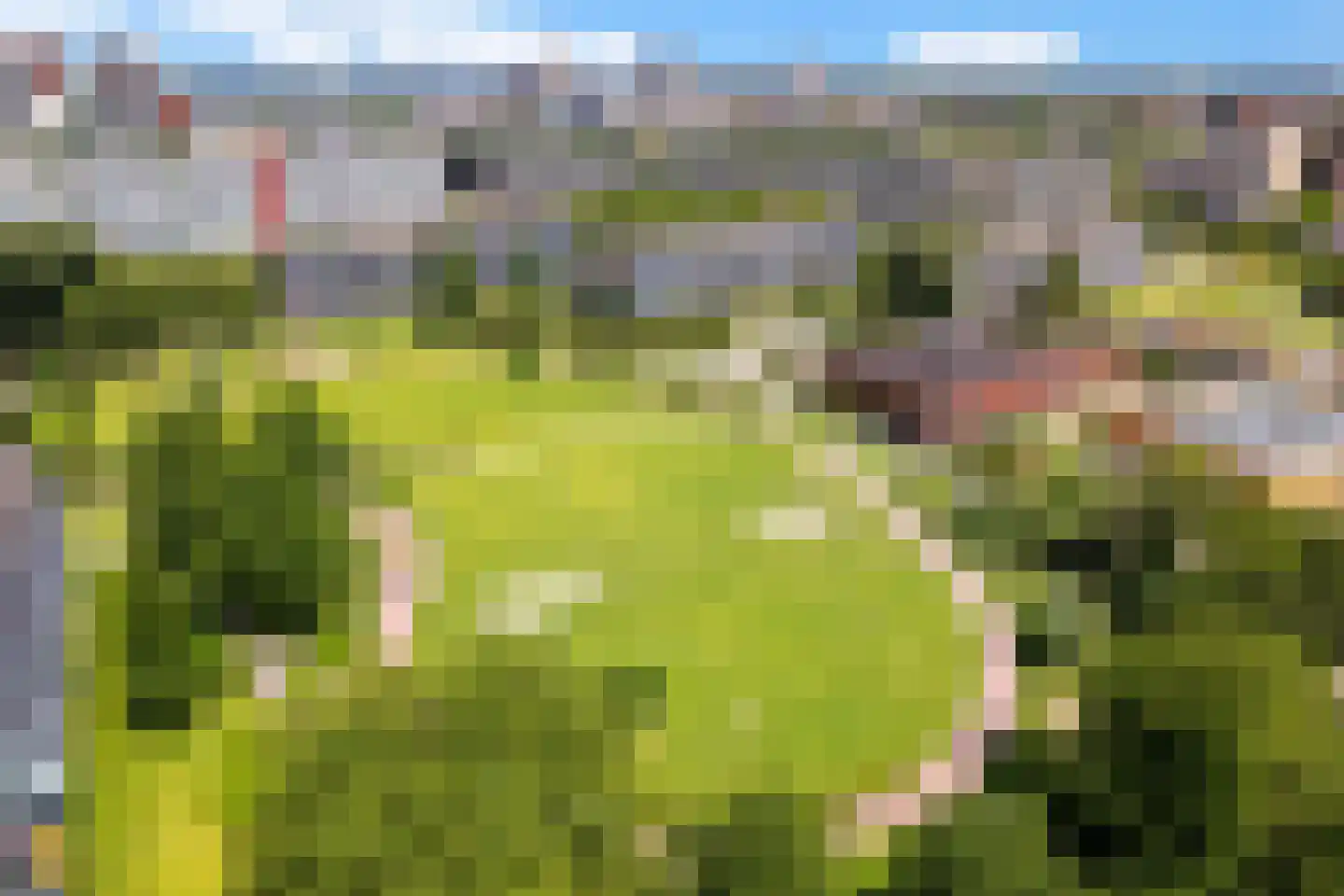 Dunantstraat 1319 Zoetermeer thumbnail 9