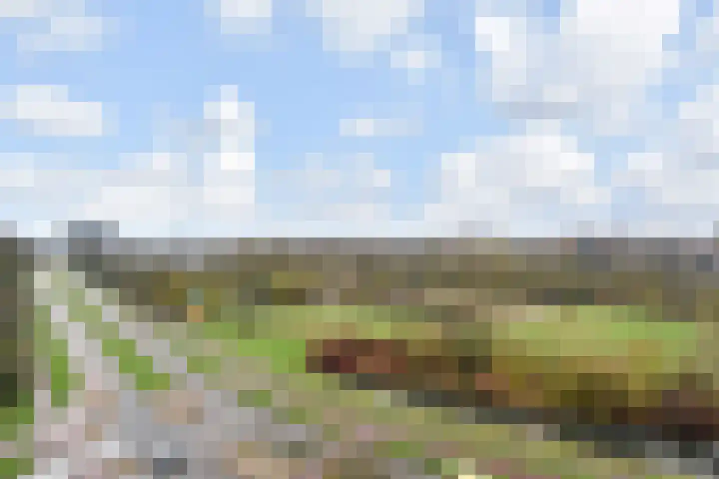 Dunantstraat 1357 Zoetermeer thumbnail 17
