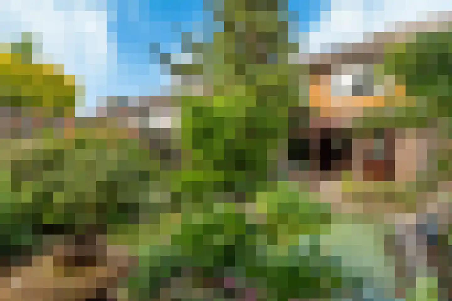 Dunantstraat 138 Hoofddorp thumbnail 22