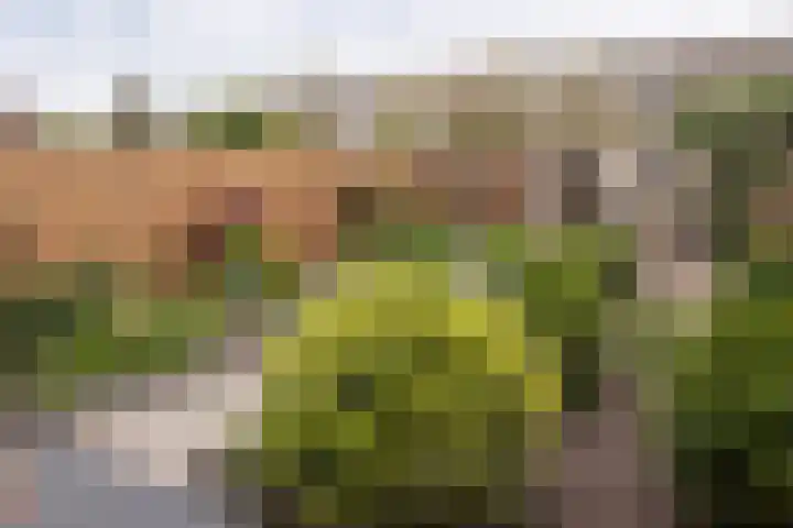 Dunantstraat 14 Etten-Leur thumbnail 29