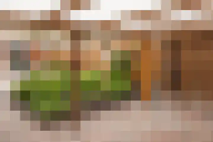 Dunantstraat 14 Etten-Leur thumbnail 32