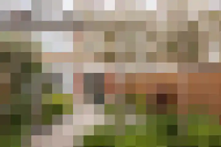 Dunantstraat 14 Etten-Leur thumbnail 33