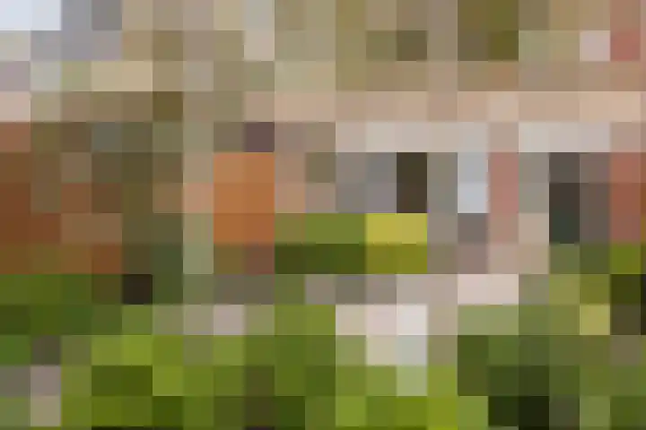 Dunantstraat 14 Etten-Leur thumbnail 34