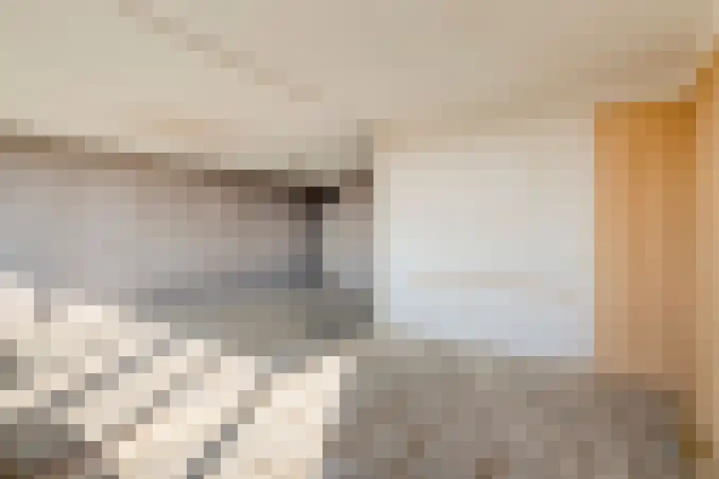 Dunantstraat 1411 Zoetermeer thumbnail 19