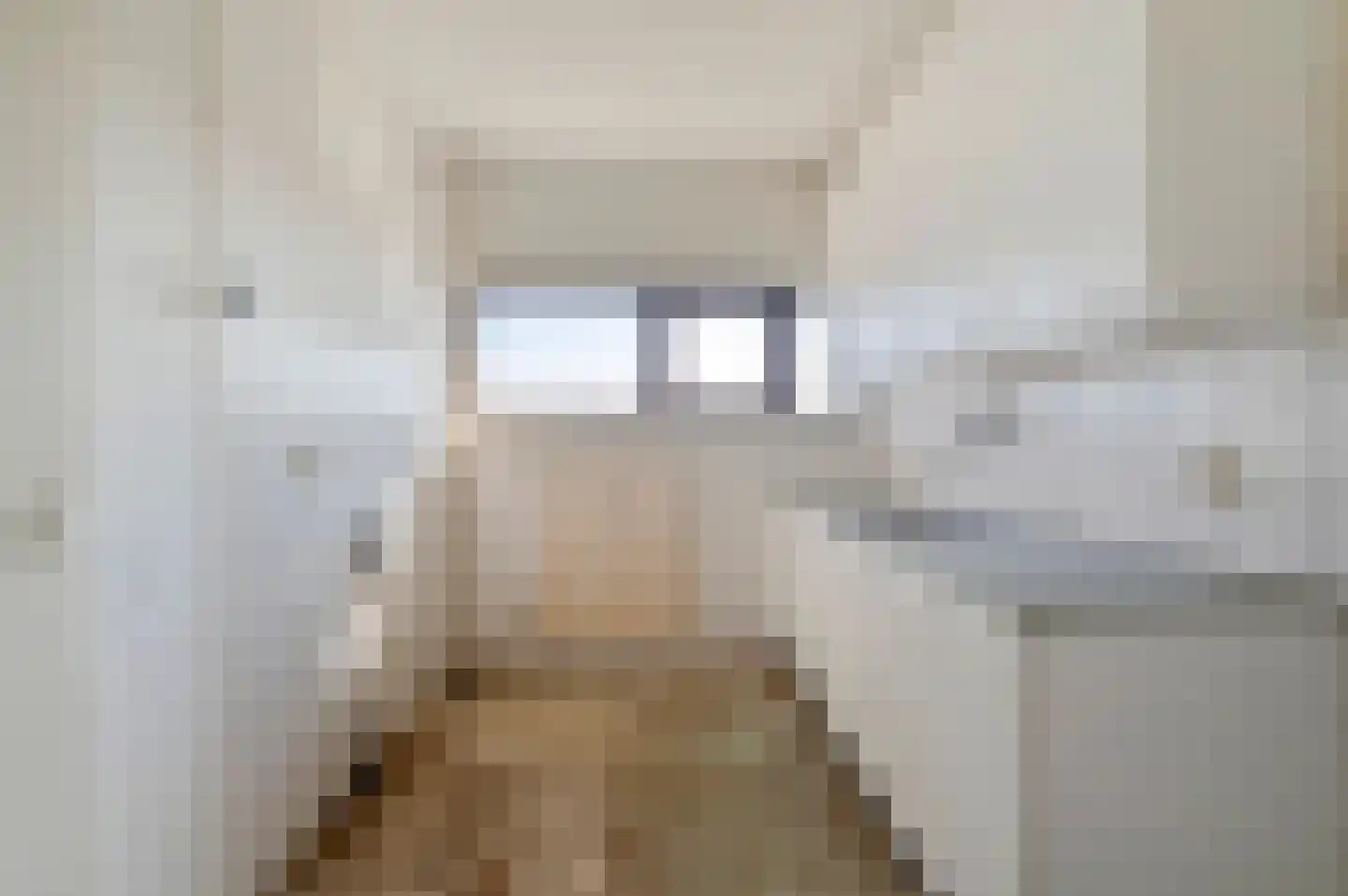 Dunantstraat 1411 Zoetermeer thumbnail 22