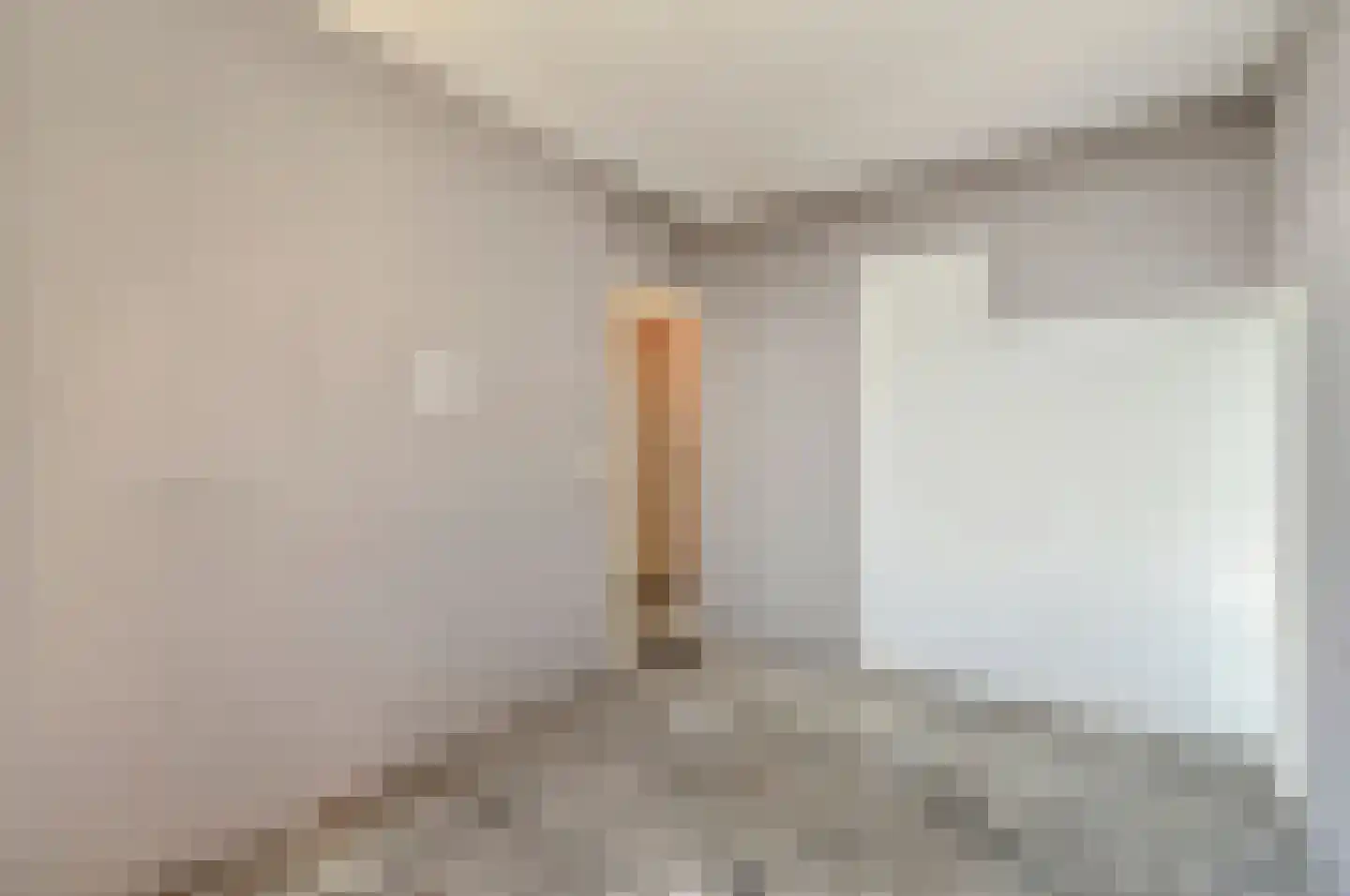 Dunantstraat 1411 Zoetermeer thumbnail 28