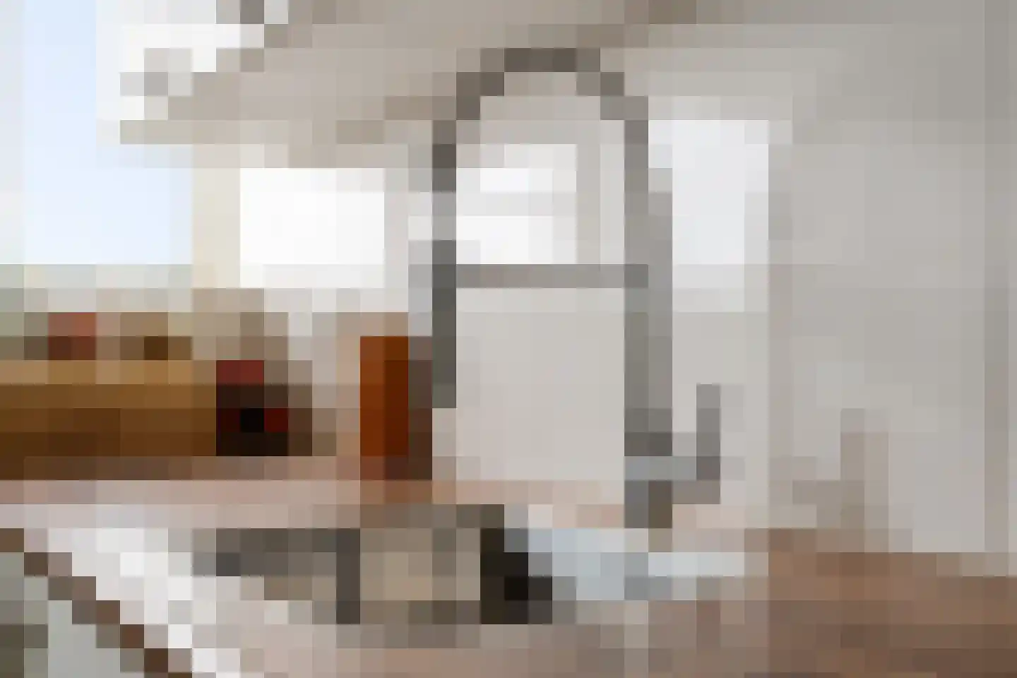Dunantstraat 1427 Zoetermeer thumbnail 21
