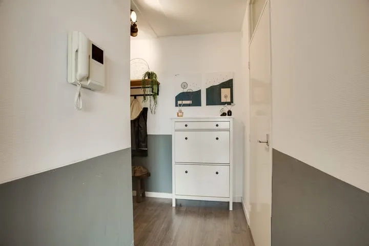 Dunantstraat 1463 Zoetermeer thumbnail 17