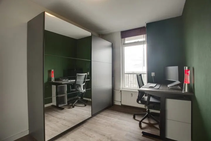 Dunantstraat 1463 Zoetermeer thumbnail 41