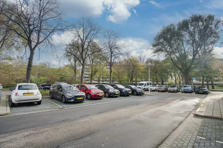 Dunantstraat 1463 Zoetermeer thumbnail 45