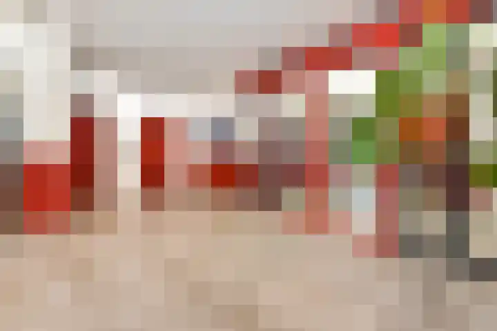 Dunantstraat 1513 Zoetermeer thumbnail 10