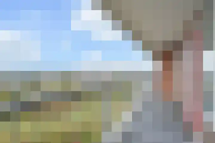 Dunantstraat 1513 Zoetermeer thumbnail 16