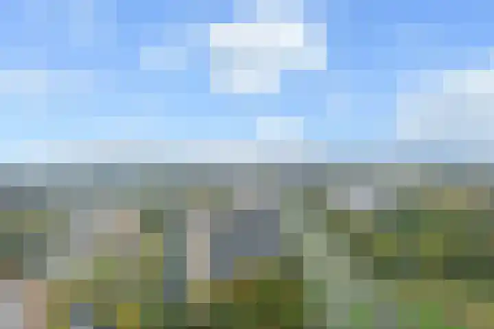 Dunantstraat 1513 Zoetermeer thumbnail 17