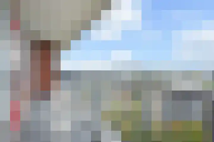Dunantstraat 1513 Zoetermeer thumbnail 18