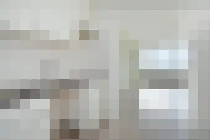 Dunantstraat 1513 Zoetermeer thumbnail 22