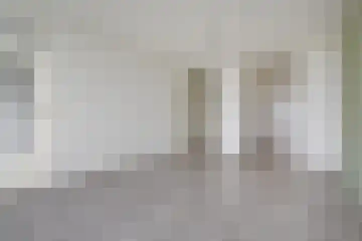 Dunantstraat 1513 Zoetermeer thumbnail 23