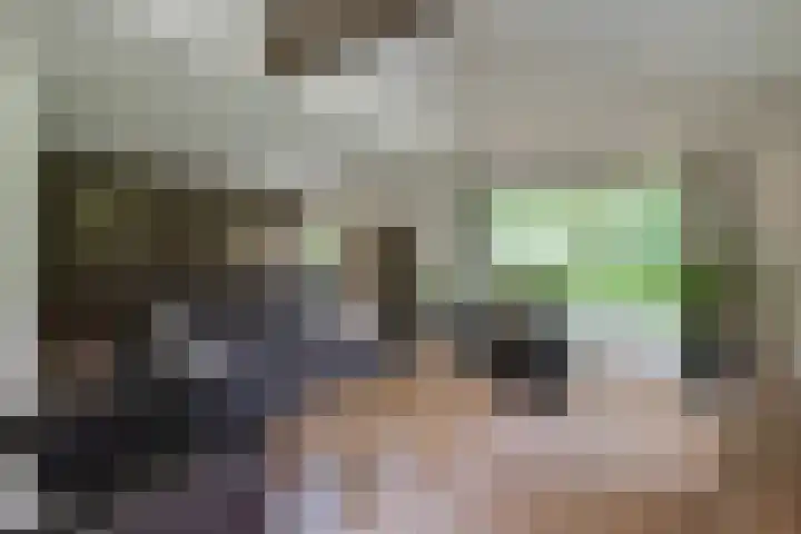 Dunantstraat 16 Didam thumbnail 11