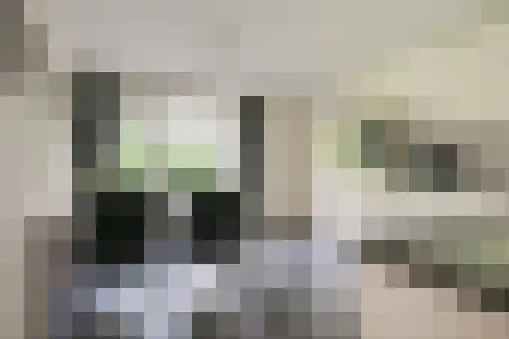 Dunantstraat 16 Didam thumbnail 16