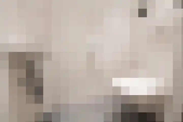 Dunantstraat 16 Didam thumbnail 30