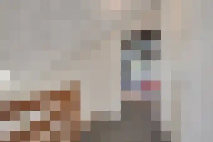 Dunantstraat 16 Didam thumbnail 32