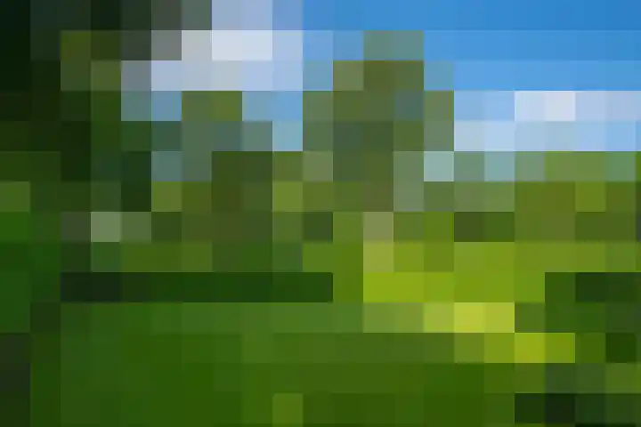 Dunantstraat 16 Didam thumbnail 43
