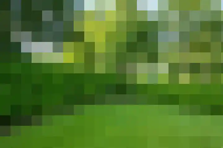 Dunantstraat 16 Didam thumbnail 44