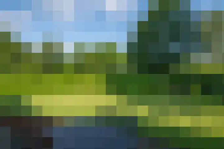 Dunantstraat 16 Didam thumbnail 48