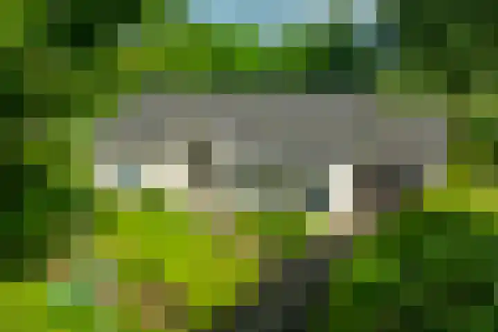 Dunantstraat 16 Didam thumbnail 58