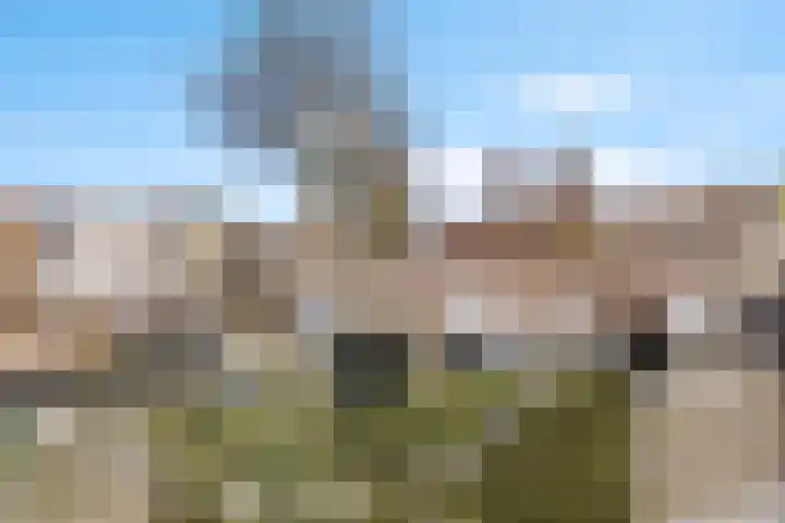 Dunantstraat 16 Roosendaal thumbnail 18