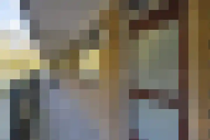 Dunantstraat 164 Zoetermeer thumbnail 5