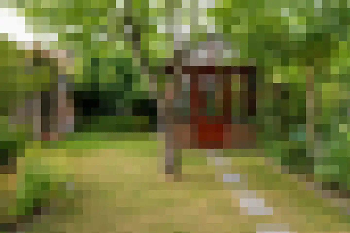 Dunantstraat 18 Geleen thumbnail 25