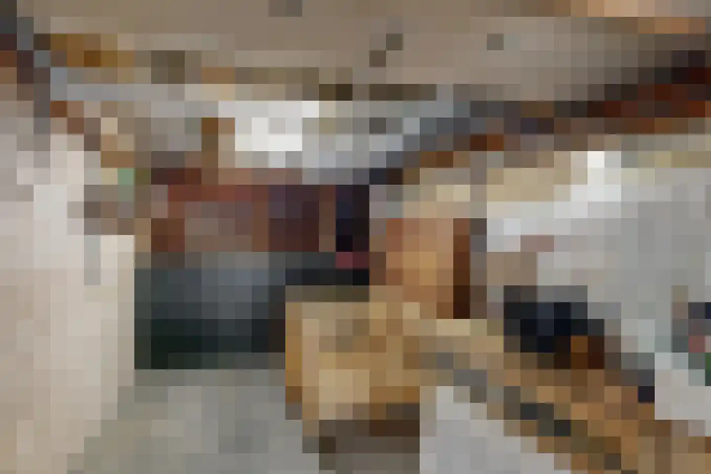 Dunantstraat 18 Geleen thumbnail 29