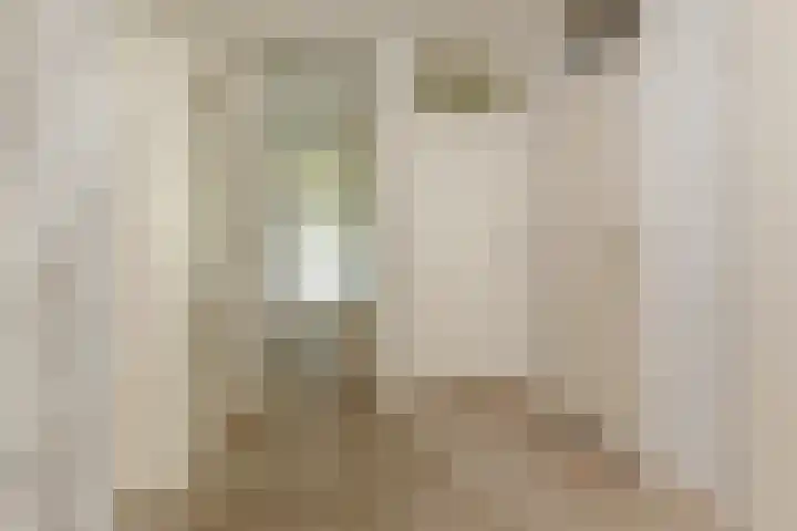 Dunantstraat 180 Zoetermeer thumbnail 10
