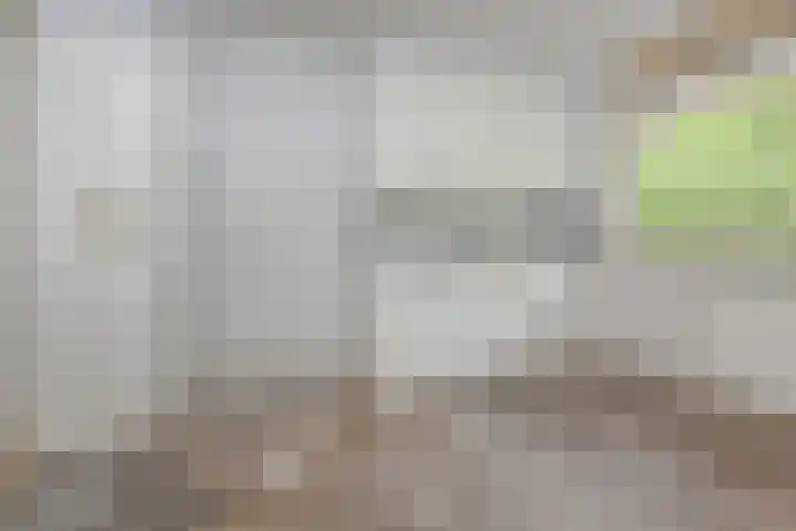 Dunantstraat 180 Zoetermeer thumbnail 11