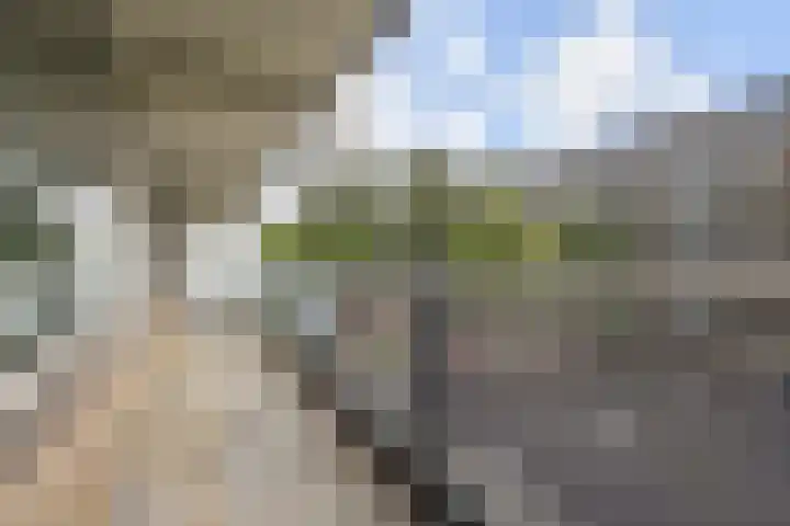 Dunantstraat 180 Zoetermeer thumbnail 19